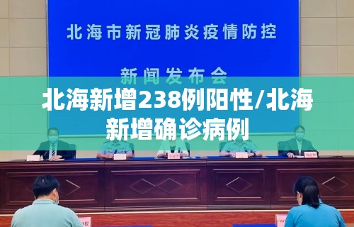 北海新增238例阳性/北海新增确诊病例
