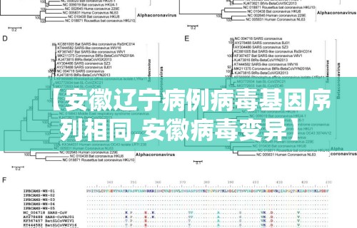 【安徽辽宁病例病毒基因序列相同,安徽病毒变异】