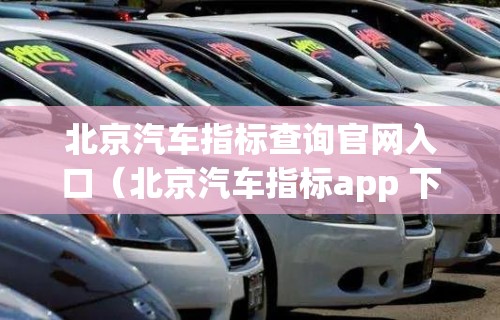 北京汽车指标查询官网入口（北京汽车指标app 下载）