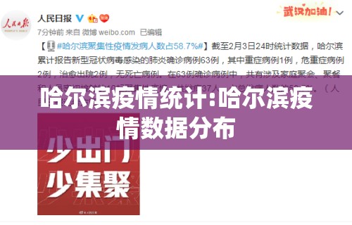 哈尔滨疫情统计:哈尔滨疫情数据分布 哈尔滨疫情统计:哈尔滨疫情数据分布
