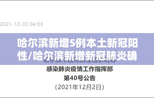 哈尔滨新增5例本土新冠阳性/哈尔滨新增新冠肺炎确诊病例9例