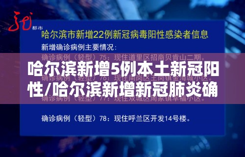 哈尔滨新增5例本土新冠阳性/哈尔滨新增新冠肺炎确诊病例9例
