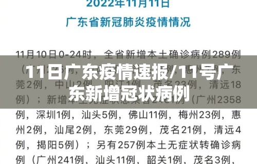 11日广东疫情速报/11号广东新增冠状病例