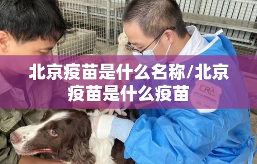 北京疫苗是什么名称/北京疫苗是什么疫苗