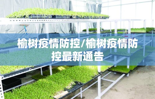榆树疫情防控/榆树疫情防控最新通告 榆树疫情防控/榆树疫情防控最新通告