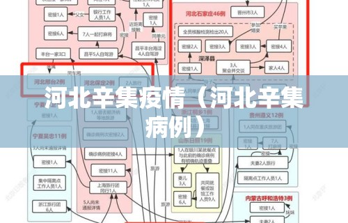 河北辛集疫情（河北辛集病例）