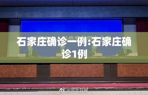 石家庄确诊一例:石家庄确诊1例