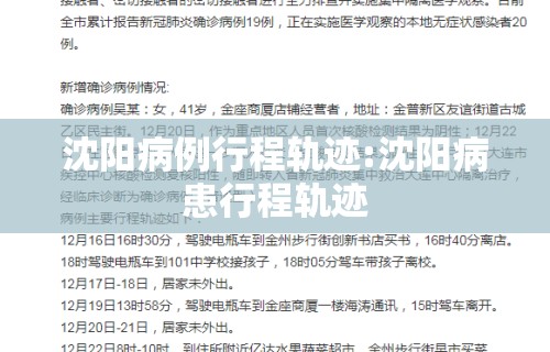 沈阳病例行程轨迹:沈阳病患行程轨迹