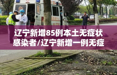 辽宁新增85例本土无症状感染者/辽宁新增一例无症状感染
