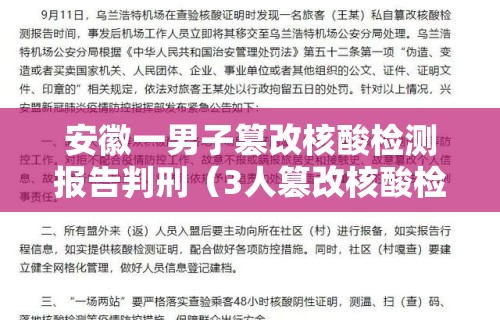 安徽一男子篡改核酸检测报告判刑(3人篡改核酸检测证明被拘)