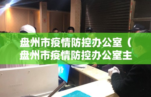 盘州市疫情防控办公室（盘州市疫情防控办公室主任）