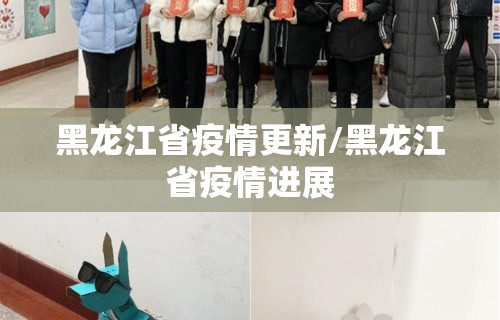 黑龙江省疫情更新/黑龙江省疫情进展