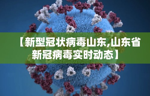 【新型冠状病毒山东,山东省新冠病毒实时动态】