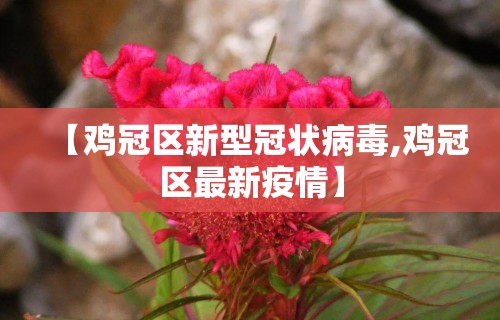 【鸡冠区新型冠状病毒,鸡冠区最新疫情】