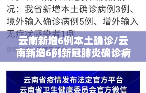 云南新增6例本土确诊/云南新增6例新冠肺炎确诊病例