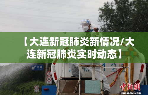 【大连新冠肺炎新情况/大连新冠肺炎实时动态】