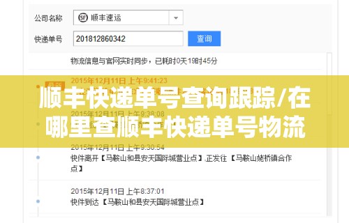 顺丰快递单号查询跟踪/在哪里查顺丰快递单号物流信息