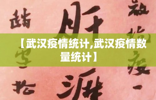 【武汉疫情统计,武汉疫情数量统计】