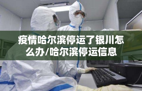 疫情哈尔滨停运了银川怎么办/哈尔滨停运信息