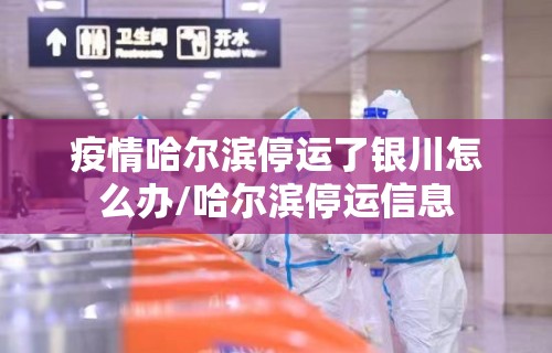 疫情哈尔滨停运了银川怎么办/哈尔滨停运信息