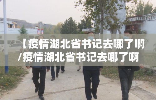 【疫情湖北省书记去哪了啊/疫情湖北省书记去哪了啊最新消息】