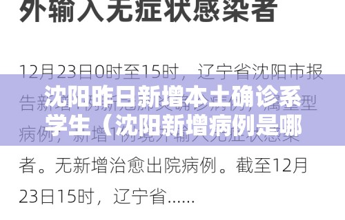 沈阳昨日新增本土确诊系学生(沈阳新增病例是哪个学校的)