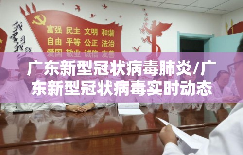 广东新型冠状病毒肺炎/广东新型冠状病毒实时动态
