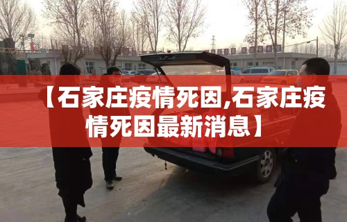 【石家庄疫情死因,石家庄疫情死因最新消息】