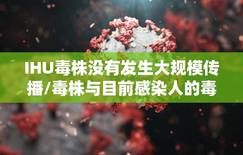 IHU毒株没有发生大规模传播/毒株与目前感染人的毒株
