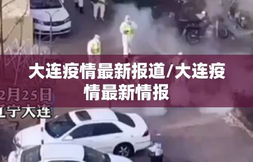 大连疫情最新报道/大连疫情最新情报