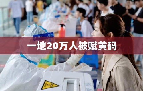 一地20万人被赋黄码 一地20万人被赋黄码