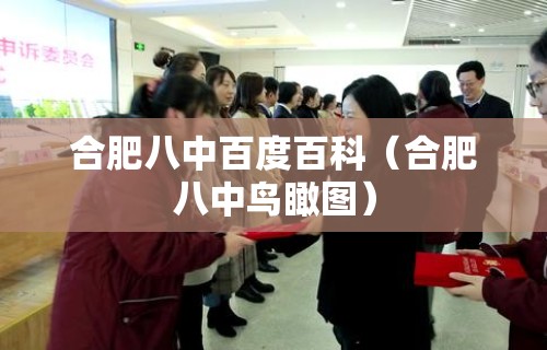 合肥八中百度百科（合肥八中鸟瞰图）
