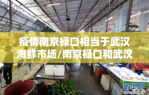 疫情南京禄口相当于武汉海鲜市场/南京禄口和武汉海鲜市场