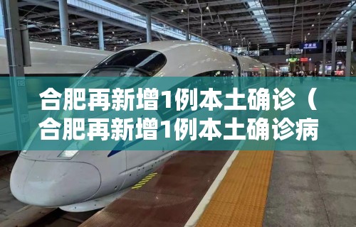 合肥再新增1例本土确诊（合肥再新增1例本土确诊病例）