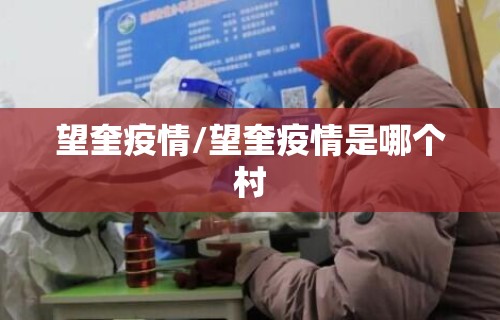望奎疫情/望奎疫情是哪个村