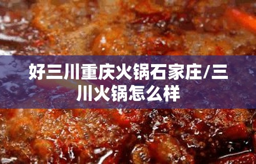 好三川重庆火锅石家庄/三川火锅怎么样