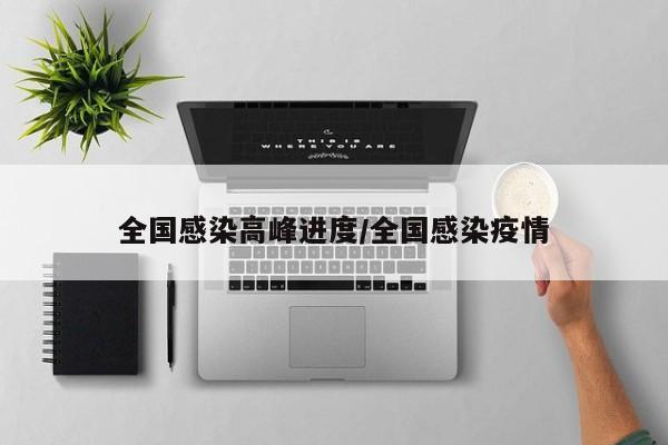 全国感染高峰进度/全国感染疫情