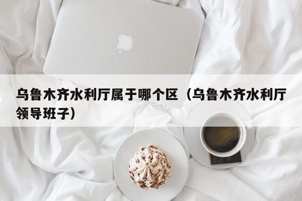 乌鲁木齐水利厅属于哪个区(乌鲁木齐水利厅领导班子)