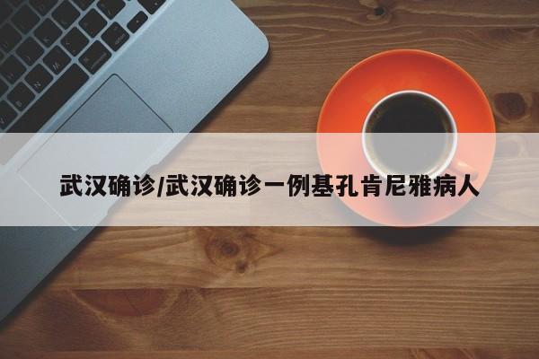 武汉确诊/武汉确诊一例基孔肯尼雅病人