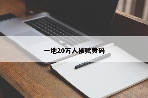 一地20万人被赋黄码